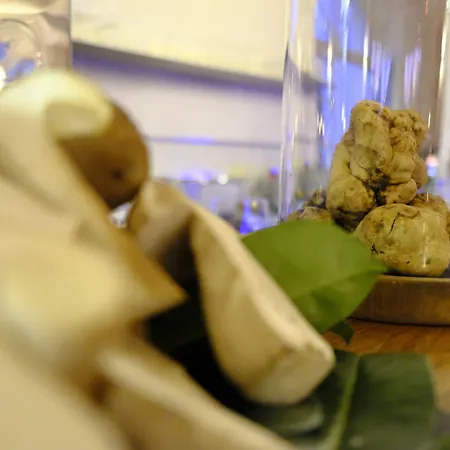 Behr Hotel Wendlingen am Neckar